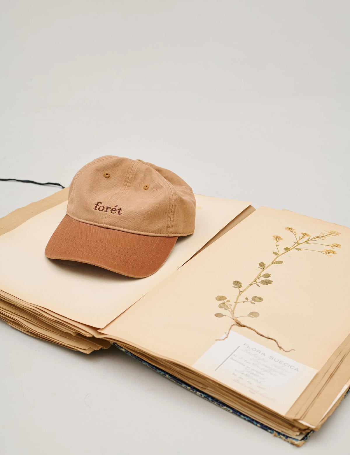 Foret Hawk Washed 2-Tone Cap in Khaki Brown lifestyle
