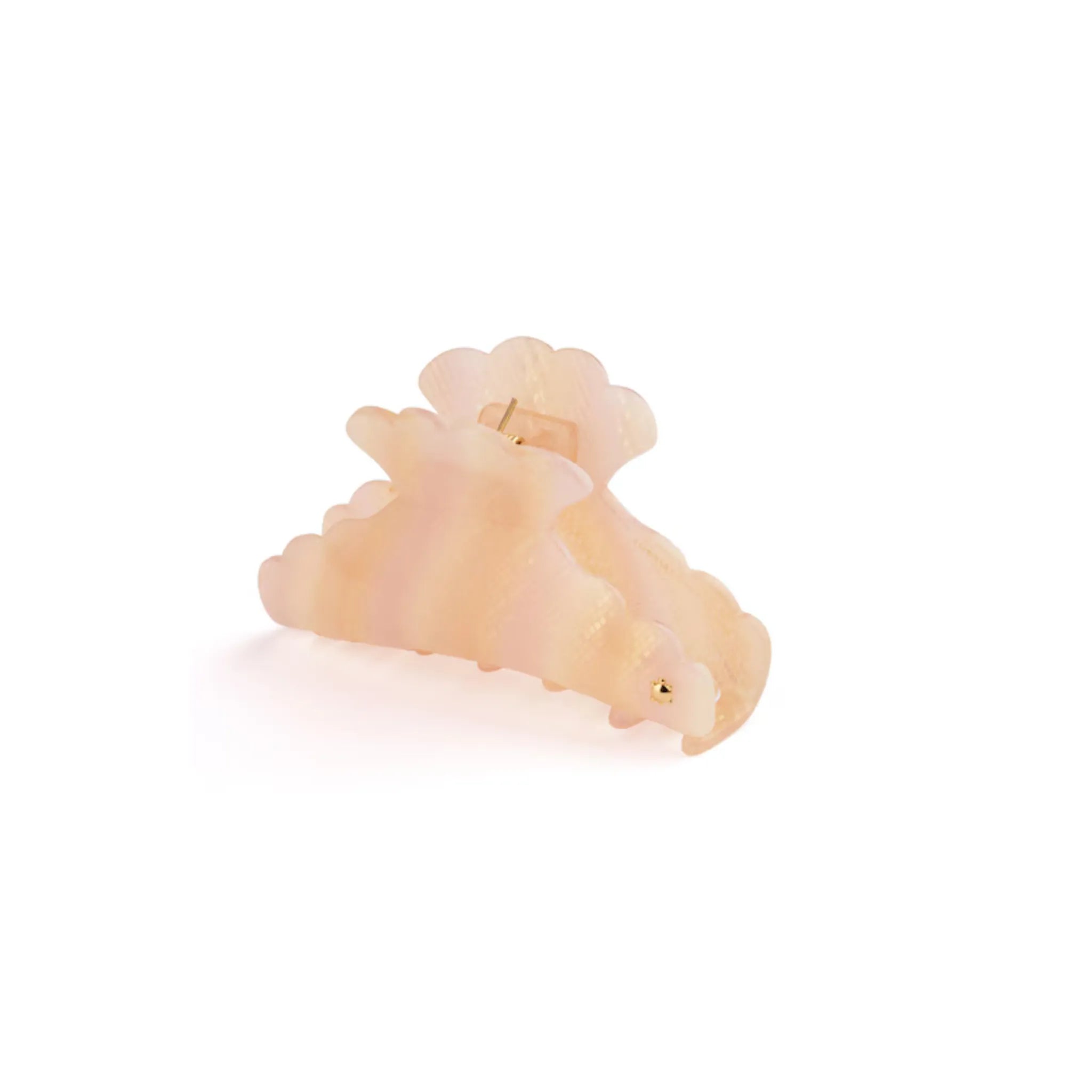 Angled view of Turtle Story Medusa Jaw Medium in Juliette