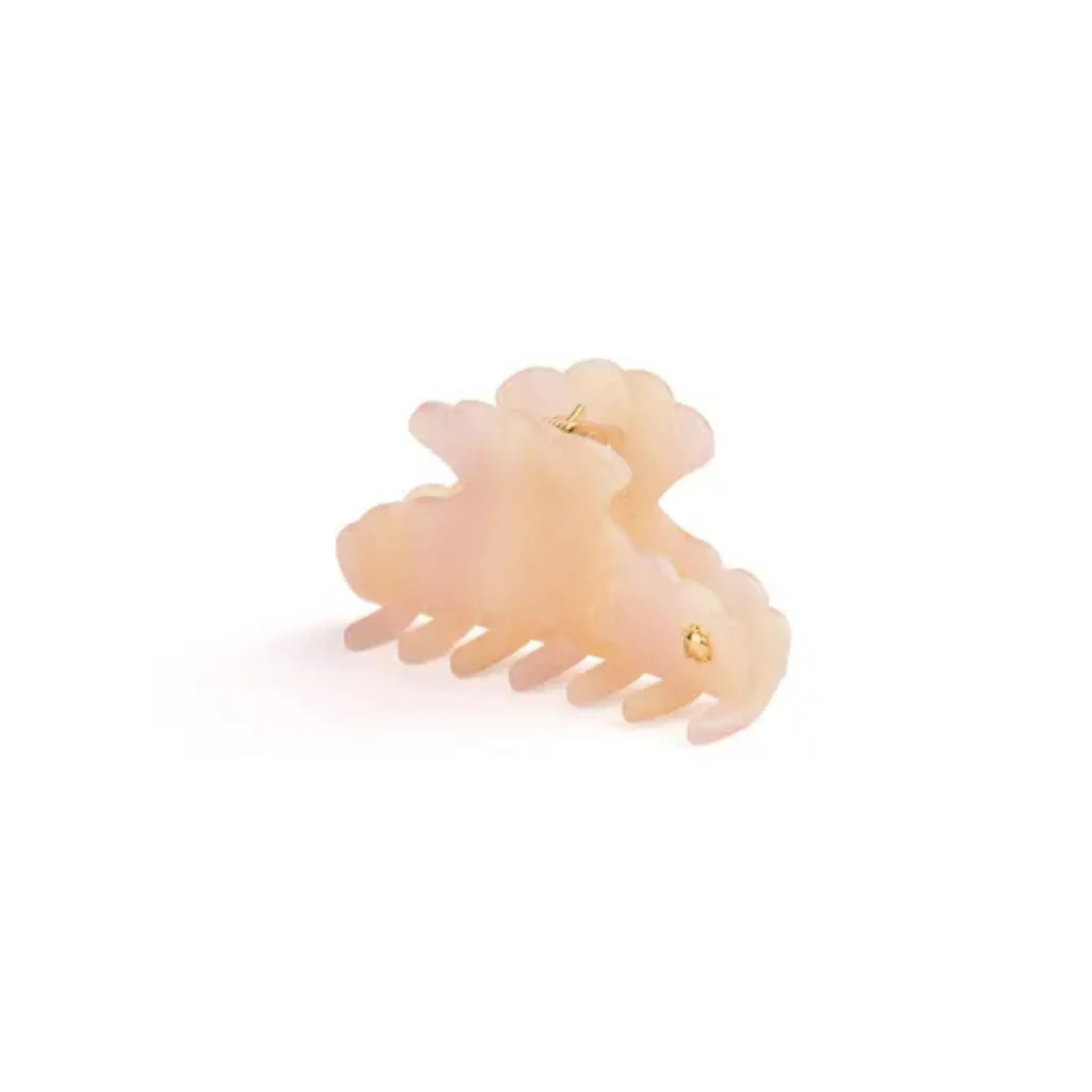 Angled view of Turtle Story Medusa Jaw Small in Juliette