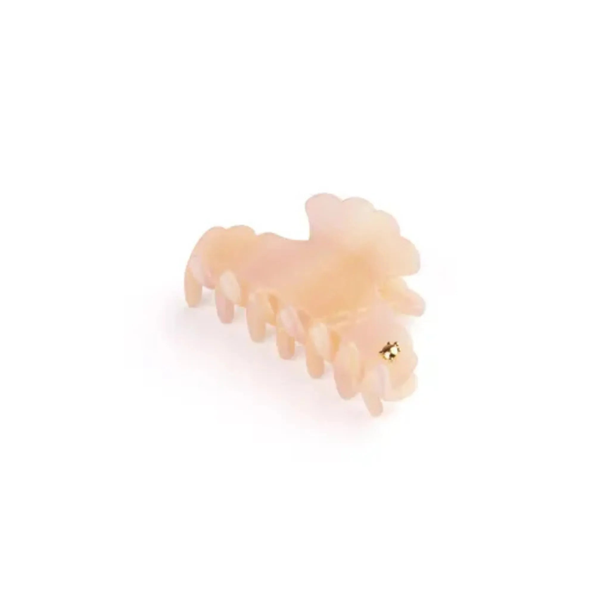 Turtle Story Medusa Jaw Small in Juliette